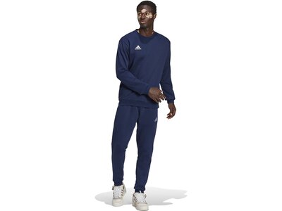 ADIDAS Herren Sweatshirt Entrada 22 (normal & lang) Blau