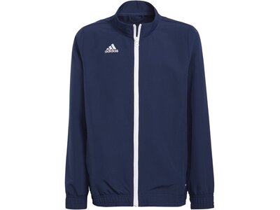 ADIDAS Kinder Jacke Entrada 22 Blau