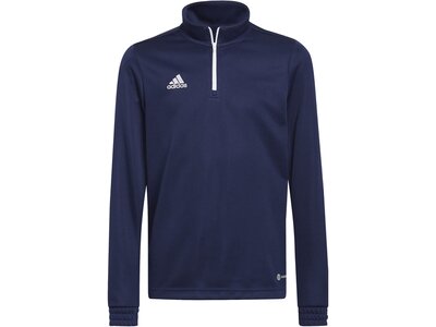 ADIDAS Kinder Sweatshirt Entrada 22 Training Blau