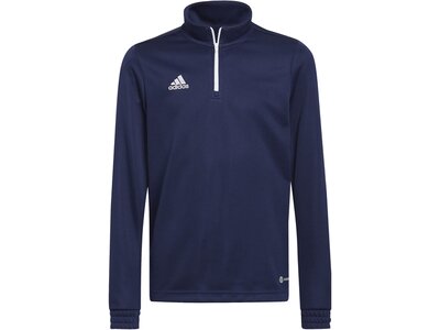 ADIDAS Kinder Sweatshirt Entrada 22 Training Blau