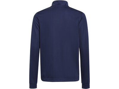 ADIDAS Kinder Sweatshirt Entrada 22 Training Blau