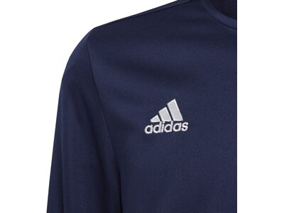 ADIDAS Kinder Sweatshirt Entrada 22 Training Blau