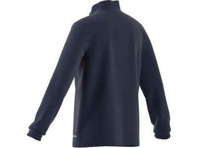 ADIDAS Kinder Sweatshirt Entrada 22 Training Blau