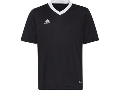 ADIDAS Kinder Trikot Entrada 22 Schwarz