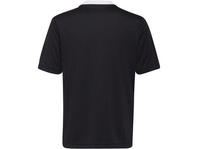 ADIDAS Kinder Trikot Entrada 22 Schwarz