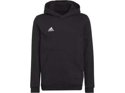 ADIDAS Kinder Kapuzensweat Entrada 22 Sweat Schwarz