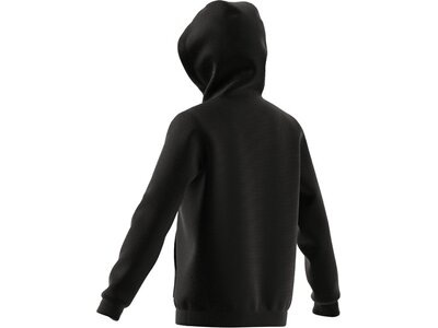 ADIDAS Kinder Kapuzensweat Entrada 22 Sweat Schwarz