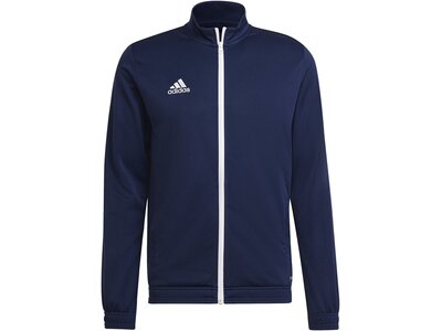 ADIDAS Herren Jacke Entrada 22 (normal & lang) Blau