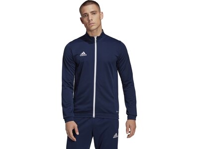 ADIDAS Herren Jacke Entrada 22 (normal & lang) Blau