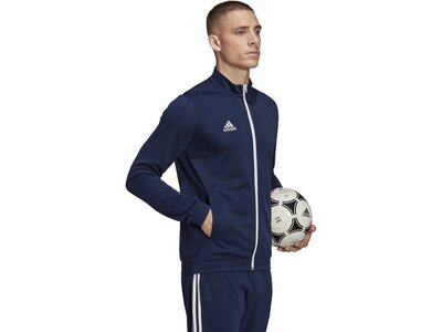 ADIDAS Herren Jacke Entrada 22 (normal & lang) Blau