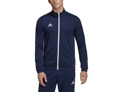 ADIDAS Herren Jacke Entrada 22 (normal & lang) Blau