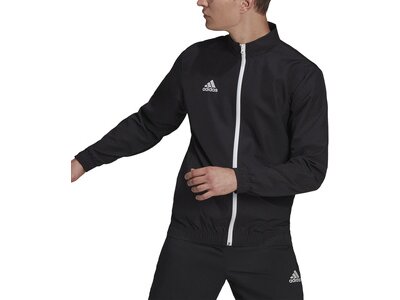 ADIDAS Herren Jacke Entrada 22 (normal & lang) Schwarz