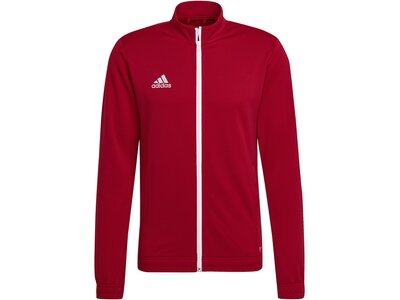 ADIDAS Herren Jacke Entrada 22 (normal & lang) Rot