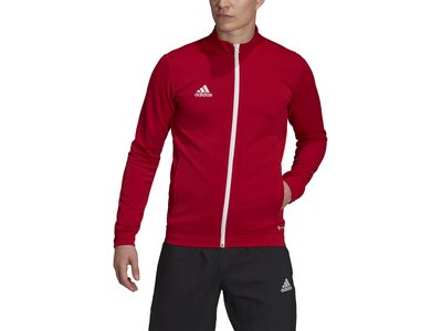 ADIDAS Herren Jacke Entrada 22 (normal & lang) Rot