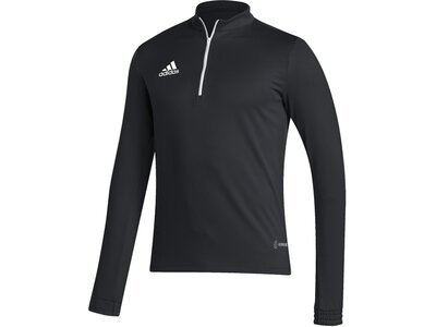 ADIDAS Herren Sweatshirt Entrada 22 Training (normal & lang) Schwarz