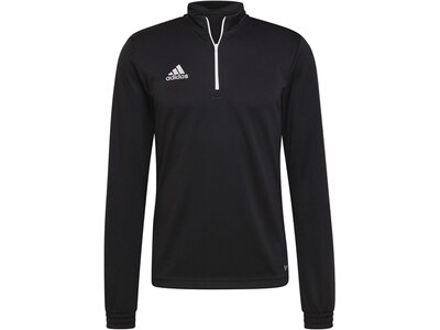 ADIDAS Herren Sweatshirt Entrada 22 Training (normal & lang) Schwarz