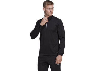 ADIDAS Herren Sweatshirt Entrada 22 Training (normal & lang) Schwarz