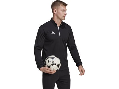 ADIDAS Herren Sweatshirt Entrada 22 Training (normal & lang) Schwarz