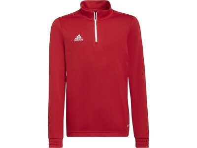 ADIDAS Kinder Sweatshirt Entrada 22 Training Rot