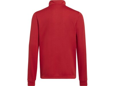 ADIDAS Kinder Sweatshirt Entrada 22 Training Rot