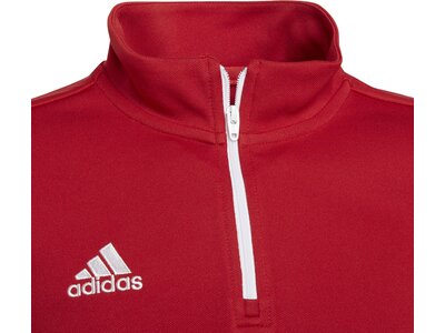 ADIDAS Kinder Sweatshirt Entrada 22 Training Rot