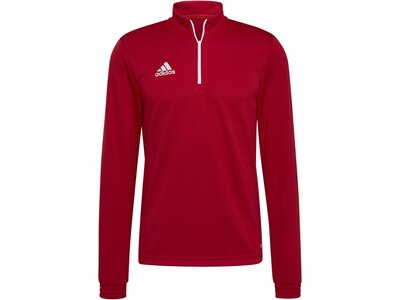 ADIDAS Herren Sweatshirt Entrada 22 Training (normal & lang) Rot
