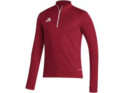 ADIDAS Herren Sweatshirt Entrada 22 Training (normal & lang) Rot