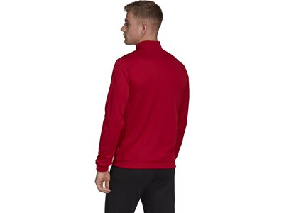 ADIDAS Herren Sweatshirt Entrada 22 Training (normal & lang) Rot