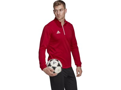 ADIDAS Herren Sweatshirt Entrada 22 Training (normal & lang) Rot