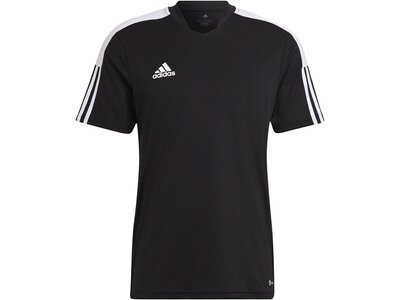 adidas Herren Tiro Essentials Trikot Schwarz