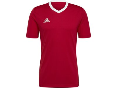 ADIDAS Herren Trikot Entrada 22 (normal & lang) Rot