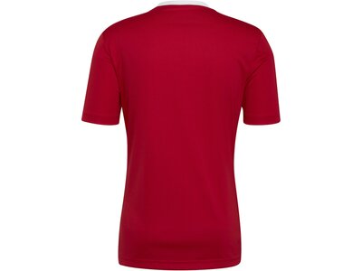 ADIDAS Herren Trikot Entrada 22 (normal & lang) Rot