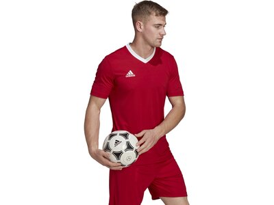 ADIDAS Herren Trikot Entrada 22 (normal & lang) Rot