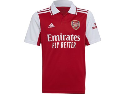 adidas Kinder FC Arsenal 22/23 Heimtrikot Grau