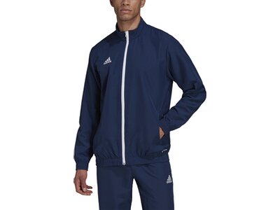 ADIDAS Herren Jacke Entrada 22 (normal & lang) Blau