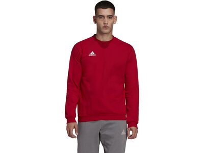 ADIDAS Herren Sweatshirt Entrada 22 (normal & lang) Rot