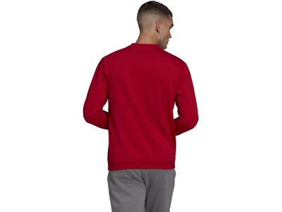 ADIDAS Herren Sweatshirt Entrada 22 (normal & lang) Rot