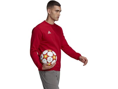 ADIDAS Herren Sweatshirt Entrada 22 (normal & lang) Rot