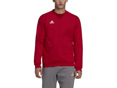 ADIDAS Herren Sweatshirt Entrada 22 (normal & lang) Rot