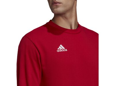 ADIDAS Herren Sweatshirt Entrada 22 (normal & lang) Rot