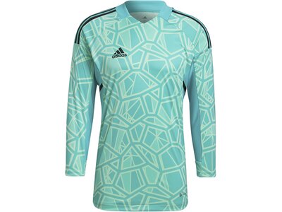 ADIDAS Herren Trikot CON22GK JSY L P Blau