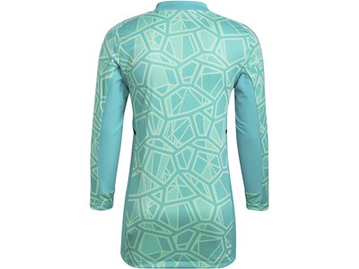ADIDAS Herren Trikot CON22GK JSY L P Blau