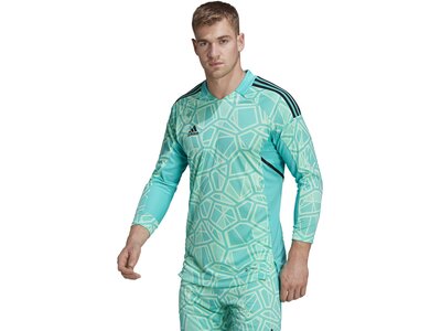 ADIDAS Herren Trikot CON22GK JSY L P Blau