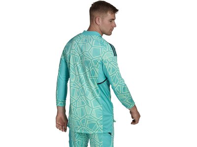 ADIDAS Herren Trikot CON22GK JSY L P Blau
