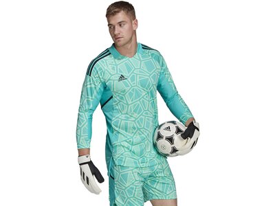 ADIDAS Herren Trikot CON22GK JSY L P Blau