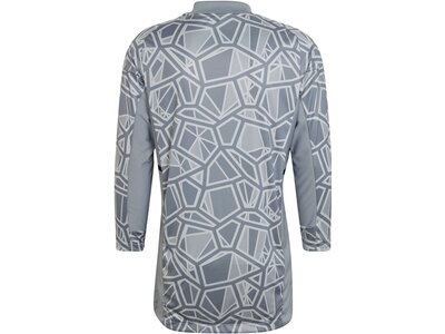 ADIDAS Herren Trikot CON22GK JSY L P Grau