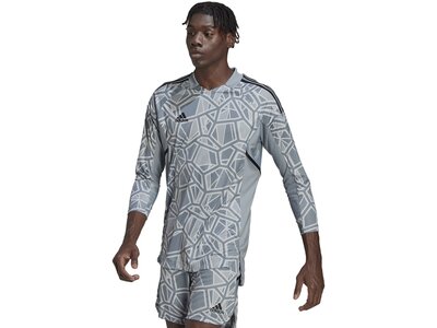 ADIDAS Herren Trikot CON22GK JSY L P Grau