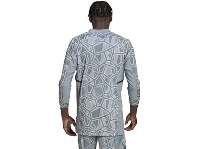 ADIDAS Herren Trikot CON22GK JSY L P Grau