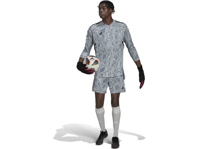ADIDAS Herren Trikot CON22GK JSY L P Grau