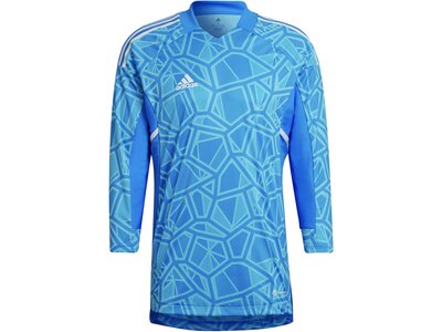 ADIDAS Herren Trikot CON22GK JSY L P Blau